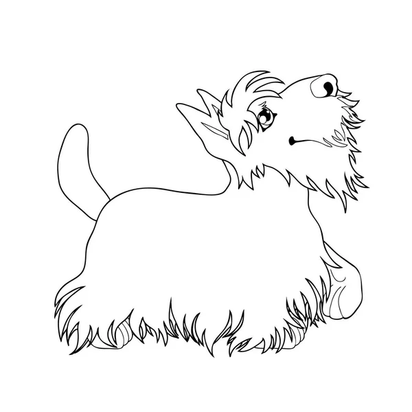 Bir köpek artline, ayakta köpek yavrusu