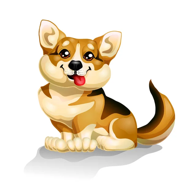 Oturma yavru bir köpek beyaz