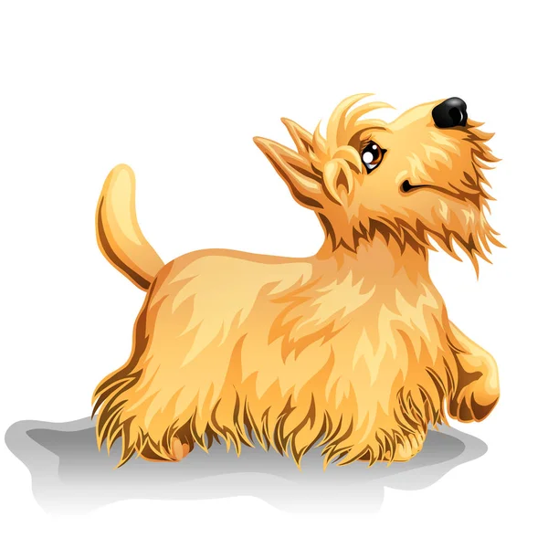 De pie cachorro de un perro — Vector de stock