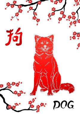 Köpek ve oryantal kiraz dal whit üzerinde oturan