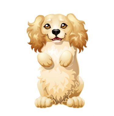 Bir köpek maliyetlerinde köpek engel bacaklar