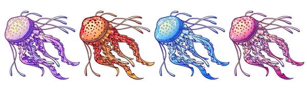 Медузы четыре цвета изолированы на белом — стоковый вектор