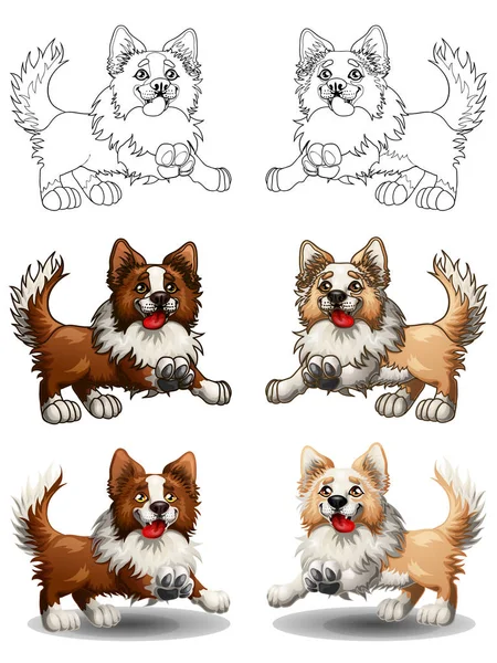 Establecer frontera Collie colorido y contorno — Vector de stock