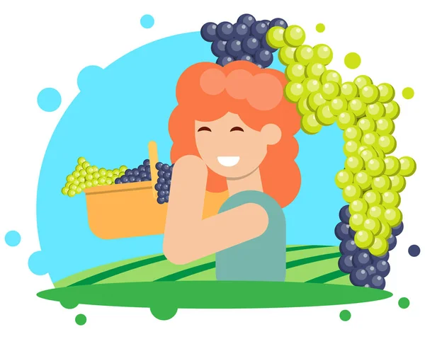 The grape harvesting — Stock Vector