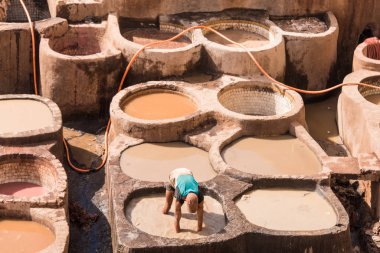 Chouar, Fes, Fas, Afrika, Kuzey Afrika 'nın boyama evleri