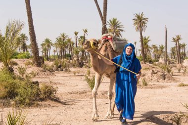 Deve sürücüsü, Kuzey Afrika, Fas