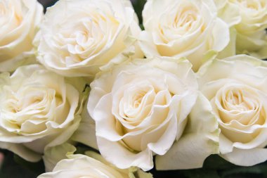 Şenlikli buket, kadınlar için çiçekler.,