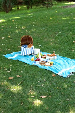 Parkta mavi ekose üzerinde yaz piknik