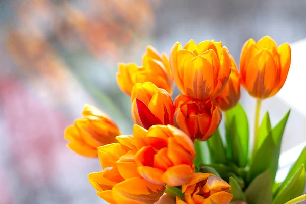 Tulipany wiosenne w wazonie w pobliżu okna — Zdjęcie stockowe