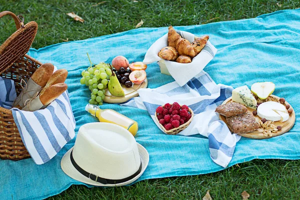 Zomer picknick op de blauwe Plaid in het Park — Stockfoto