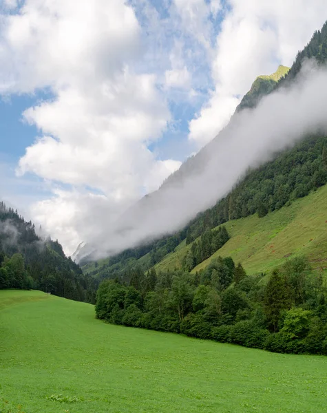 И пастила с зеленой травой и горами в горах — стоковое фото