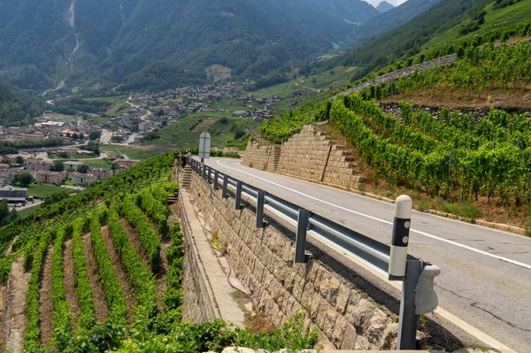 Виноградники рядом с Мартиньи с горной дороги, Швейцарские Альпы Лицензионные Стоковые Изображения