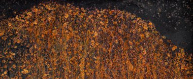 Soyut doku paslı metal levha