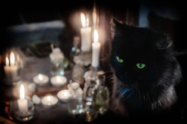 Волшебная Идея Черный Кот Горящие Свечи Возле Старого Mirro Стоковая Картинка