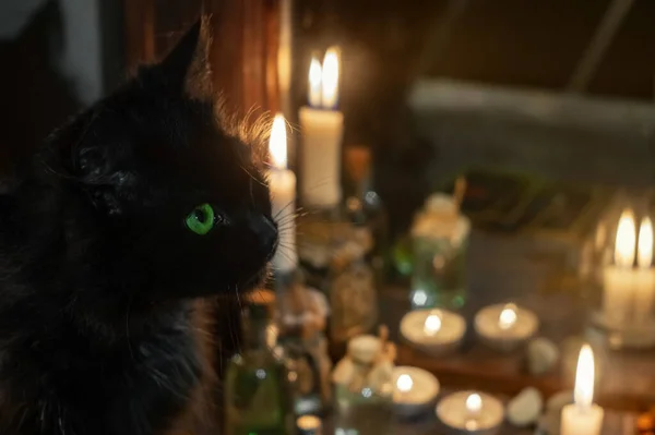 Konsep Sihir Kucing Hitam Dan Lilin Terbakar Dekat Cermin Tua — Stok Foto