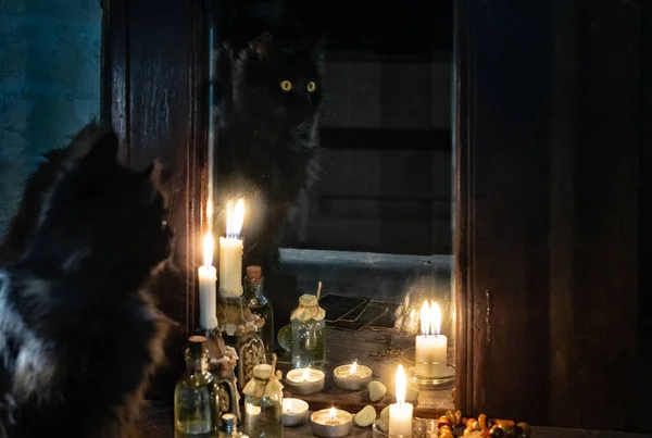 Magie Occultisme Reflectie Van Een Zwarte Kat Brandende Kaarsen Een — Stockfoto