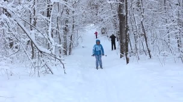 Flicka poserar i vinter skog — Stockvideo