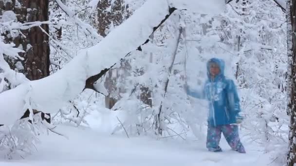 Flicka poserar i vinter skog — Stockvideo