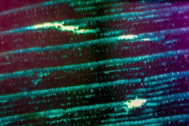 Renkli mutfak mendil dokusunun