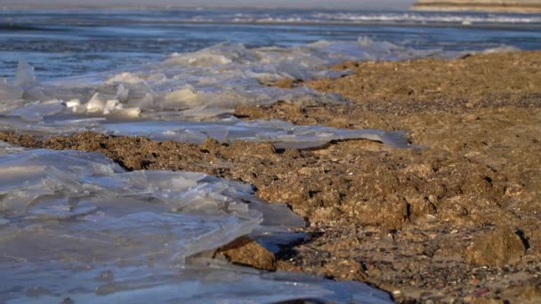 바다의 얼음의 움직임 — 비디오