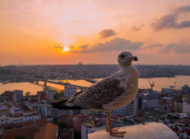 istanbul'da gün batımı 