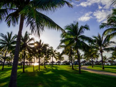 Nha Trang, Vietnam 'daki inanılmaz tropikal plaj. 