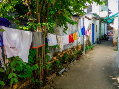 Nha Trang, Vietnam - 23 Aralık 2019 Vininci Lunaparkındaki Kuğular.