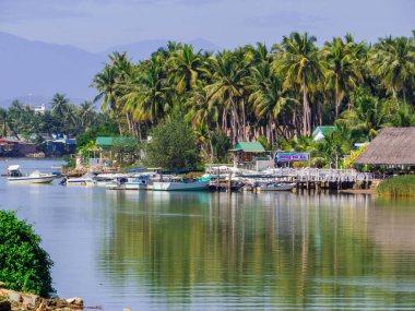Nha Trang, Vietnam - 23 Aralık 2019 Vininci Lunaparkındaki Kuğular.