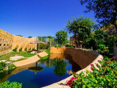 Nha Trang, Vietnam - 23 Aralık 2019 Vininci Lunaparkındaki Kuğular.