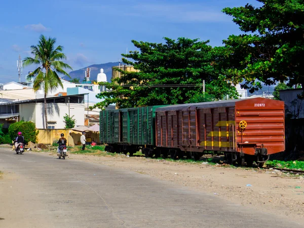 Nha Trang Βιετνάμ Δεκεμβρίου 2019 Κύκνοι Στον Ζωολογικό Κήπο Στο — Φωτογραφία Αρχείου