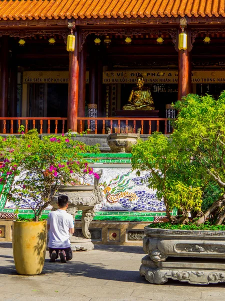 Nha Trang Vietnam Aralık 2019 Vininci Lunaparkındaki Kuğular — Stok fotoğraf