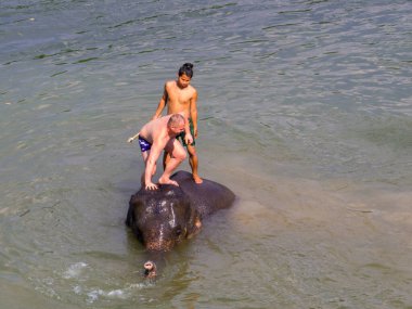 Kanchanaburi, Tayland - 4 Ocak 2020: Mahawangchang Fil Kampı 'nda fillerle yüzen turistler.