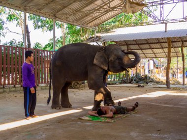Kanchanaburi, Tayland - 4 Ocak 2020: Mahawangchang Fil Kampında Fil Gösterisi.