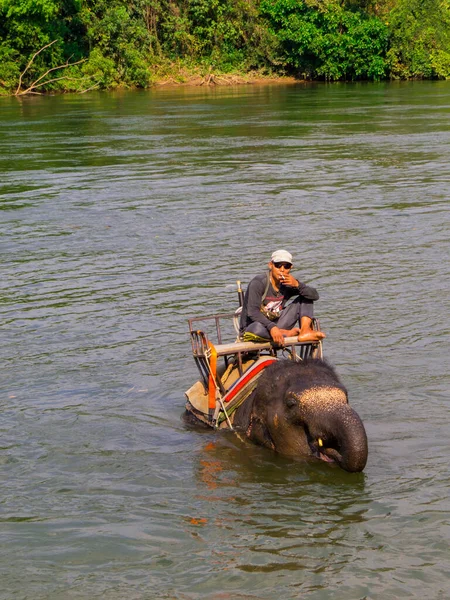 Kanchanaburi Thailand January 2020 Elephant Trainer Mahawangchang Elephant Camp — Stock Photo, Image