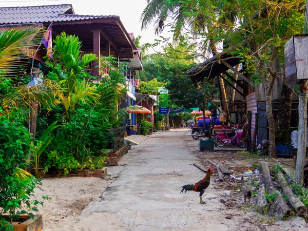 Koh Rong Cambodia January 2020 Picturesque Street Sok San Village — Stock Photo, Image