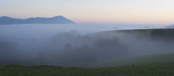 Sunrise, clouds and trees in San Sebastian, Basque country — Stock Photo, Image