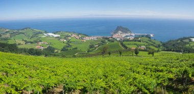 Bağ ve güzel sahilin yanında mavi deniz, Getaria