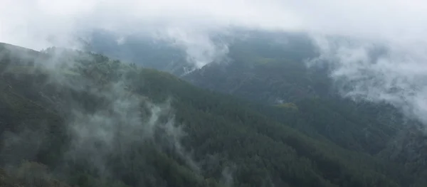 Nuvens e névoas nas florestas — Fotografia de Stock