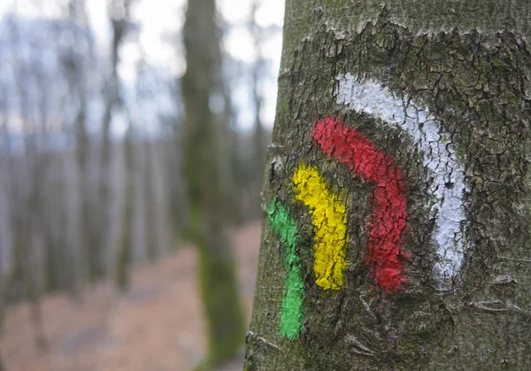 Aiako Harriak 自然公園の森の中の歩行者の道路標識に — ストック写真