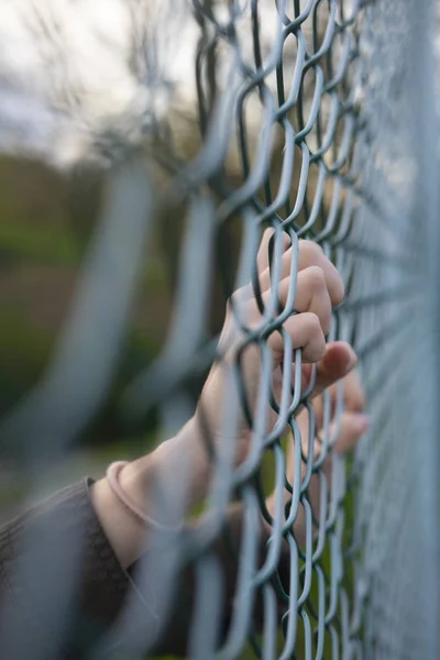 Χέρια Της Μια Γυναίκα Πρόσφυγα Ένα Φράχτη Σύρμα Ένα Κορίτσι — Φωτογραφία Αρχείου