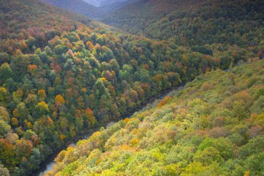 Autumn in the Maple Valley through which the Irati River runs, from the Ariztokia Viewpoint, Navarra Pyrenees