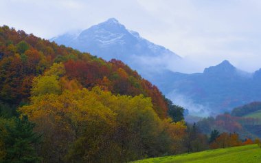 Sonbaharda Araitz Vadisi ormanlarında bulutlar ve sisler Balerdi Dağı, Navarra