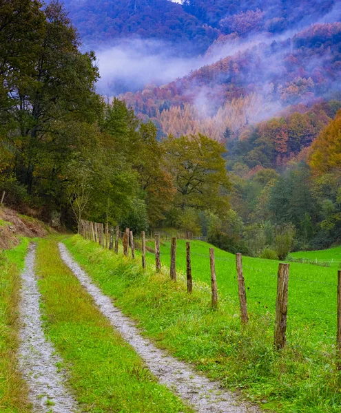 road that is lost in the forest in autumn, Araitz valley, Navarra