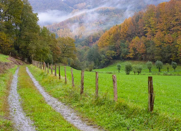 road that is lost in the forest in autumn, Araitz valley, Navarra