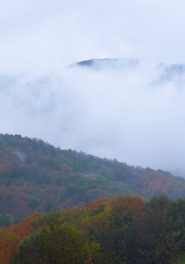 Bulutlar ve sisler sonbaharda kötü havalarda Araitz vadisinde, Navarra ormanlarında