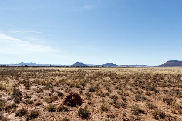 Cerro hormiguero con montañas, cielo azul y campos amarillos - Cradock — Foto de Stock