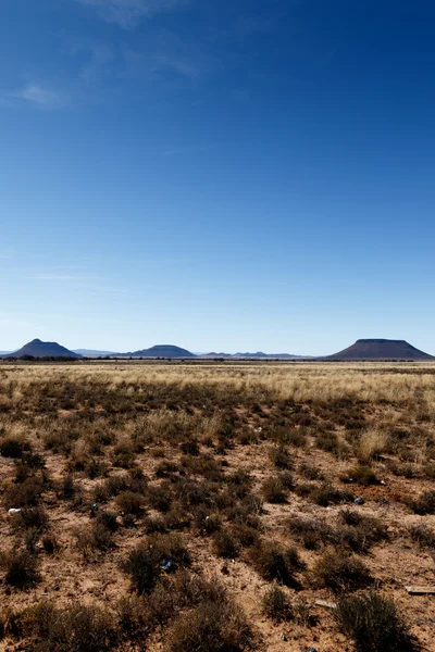 Retrato - Montañas con cielo azul y campos amarillos - Cradock —  Fotos de Stock