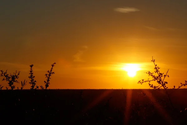 Doskonałe zachód słońca nad RPA Addo Obraz Stockowy