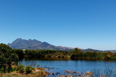 Baraj, çalılar ve dağ manzaralı