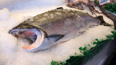 Seattle Washington ABD - Ekim 2014 - taze deniz ürünleri göstermek vasıl Pike Place genel Market